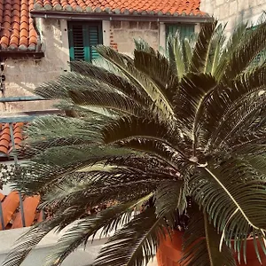 Saint Lucas , Split Croatia